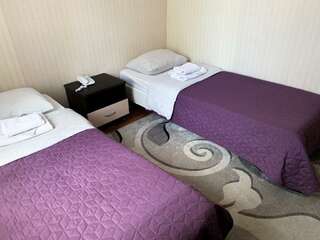 Гостиница Центральная Нижняя Тура Номер люкс с 2 односпальными кроватями-12