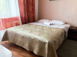 Гостиница Центральная Нижняя Тура 1-местный номер полулюкс с балконом-1