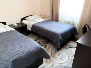 Гостиница Центральная Нижняя Тура Номер люкс с 2 односпальными кроватями-10